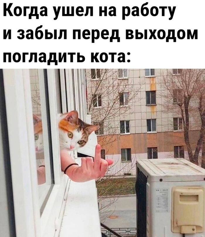 Картинки, мемы и приколы
