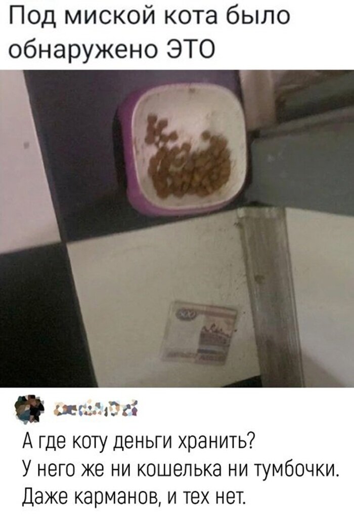 Новые приколы чтобы улыбнуться