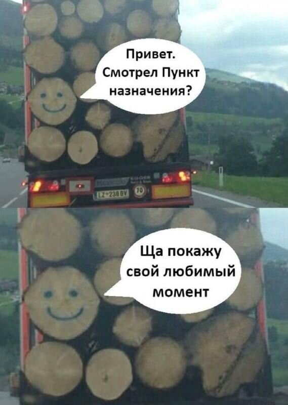 Свежие прикольные фотографии и смешные картинки