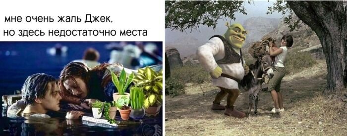 Позитивно и Смешно, картинки смешные