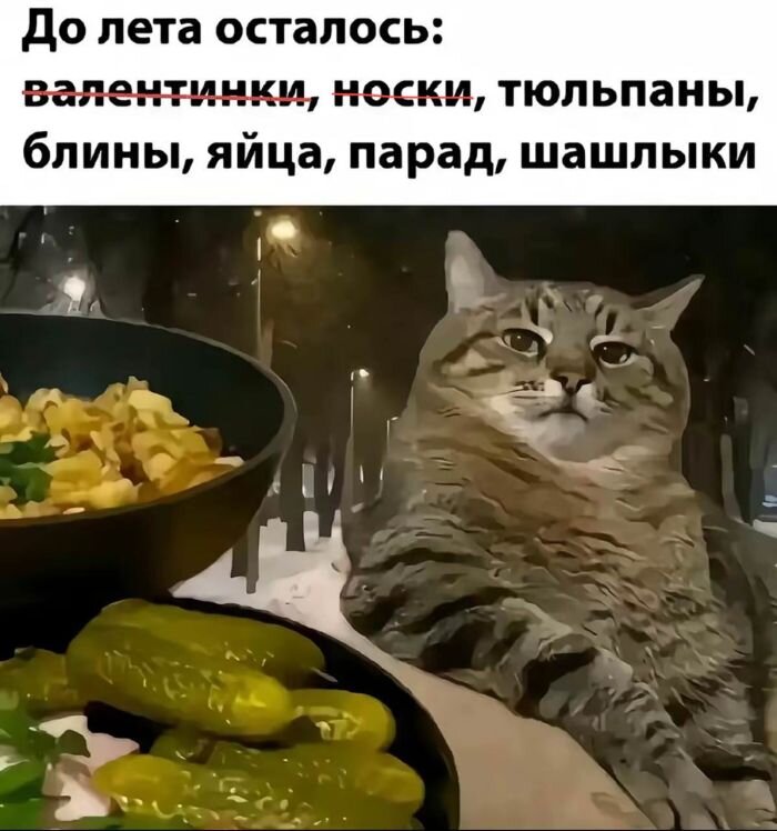 Приколы для хорошего настроения в пятницу