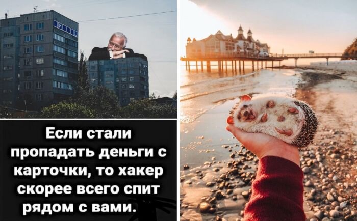 Самая веселая подборка прикольных картинок и фотографий