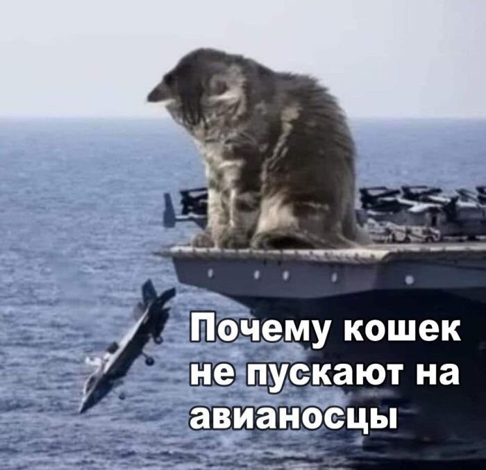 Забавные шутки для поднятия настроения