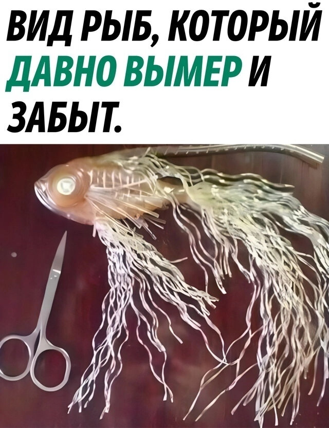 Свеженькие мемы и фото, как вы любите