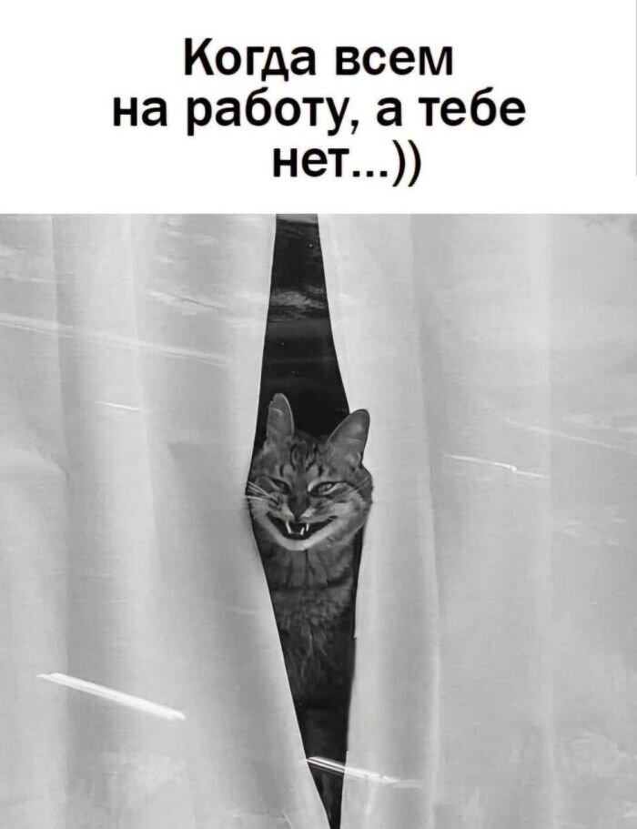 Подборка прикольных Мемов и смешных Снимков на День