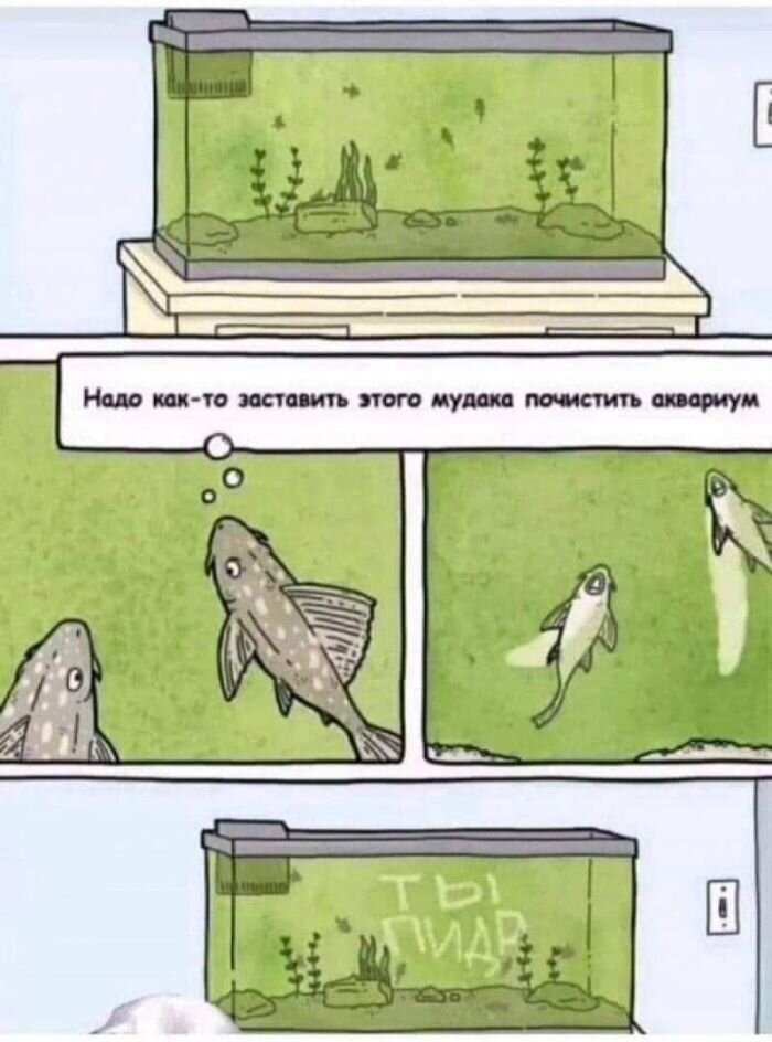 Прикольные фотографии и самые весёлые картинки с надписями
