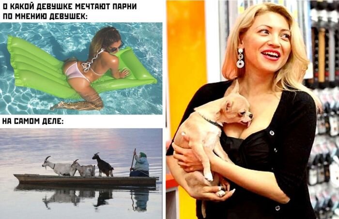 Прикольные картинки и забавные фотографии
