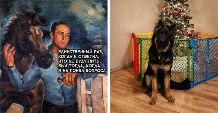 Прикольные картинки с надписями и смешные фото