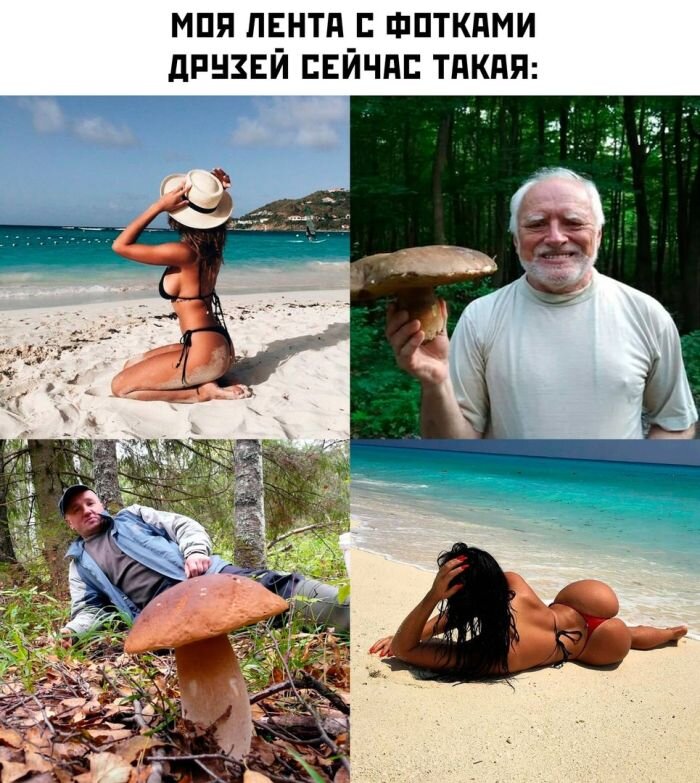 Юмористические картинки (45 фото)