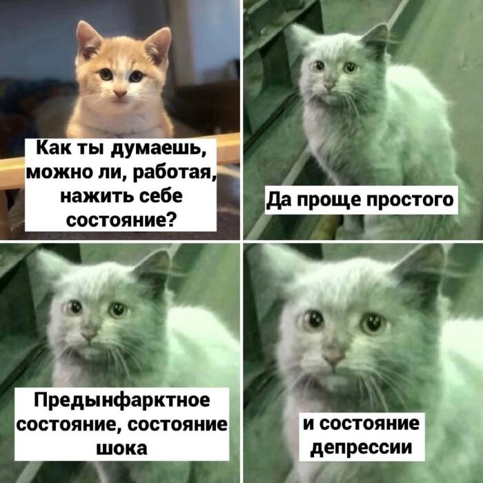 Свежая подборка прикольных мемов с надписями