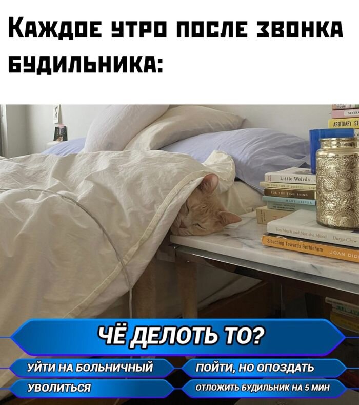 Смешные приколы на мемах и фото