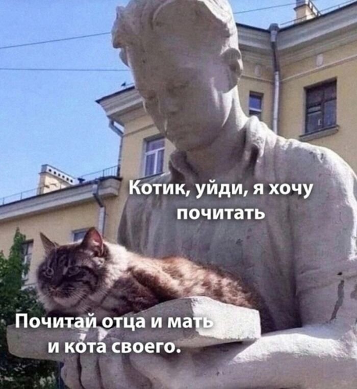 Смешные картинки и мемы для начала Дня