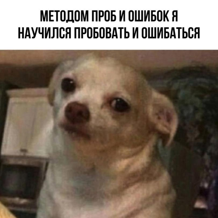 Лучшие Мемы и до слез смешные картинки с Надписями