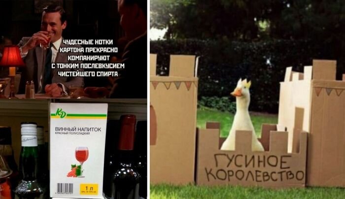 Лучшая подборка картинок с приколами