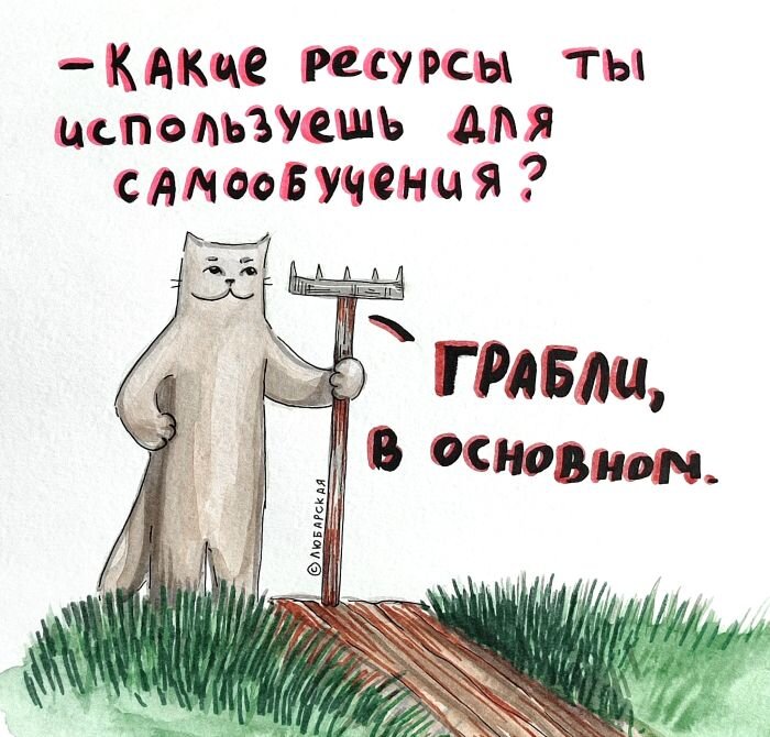 Новый сборник мемов и прикольных картинок с надписями