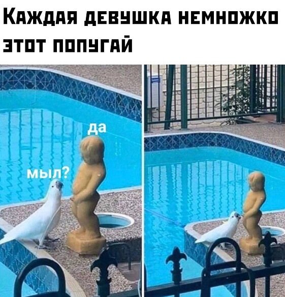 Картинки с пошлым юмором