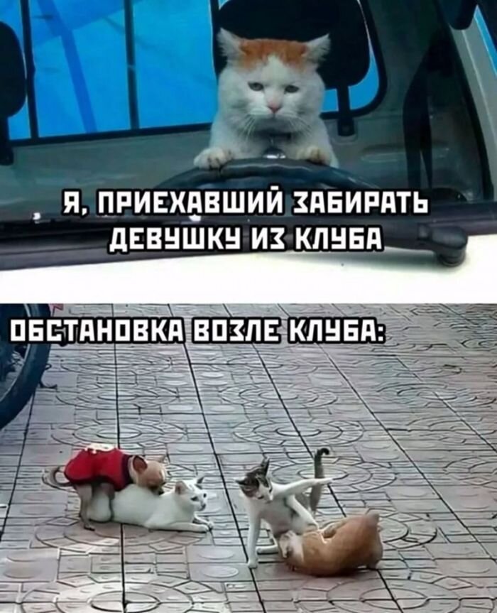 Подборка смешных картинок и мемов на выходные