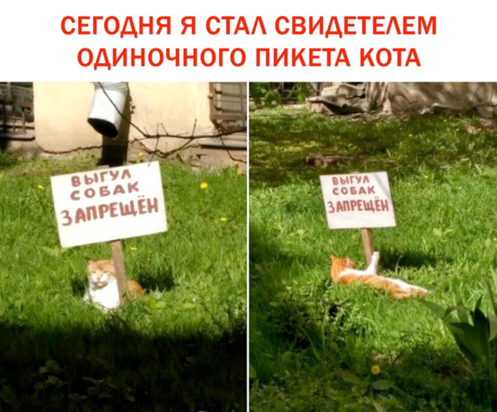 Новые картинки с юмором для настроения