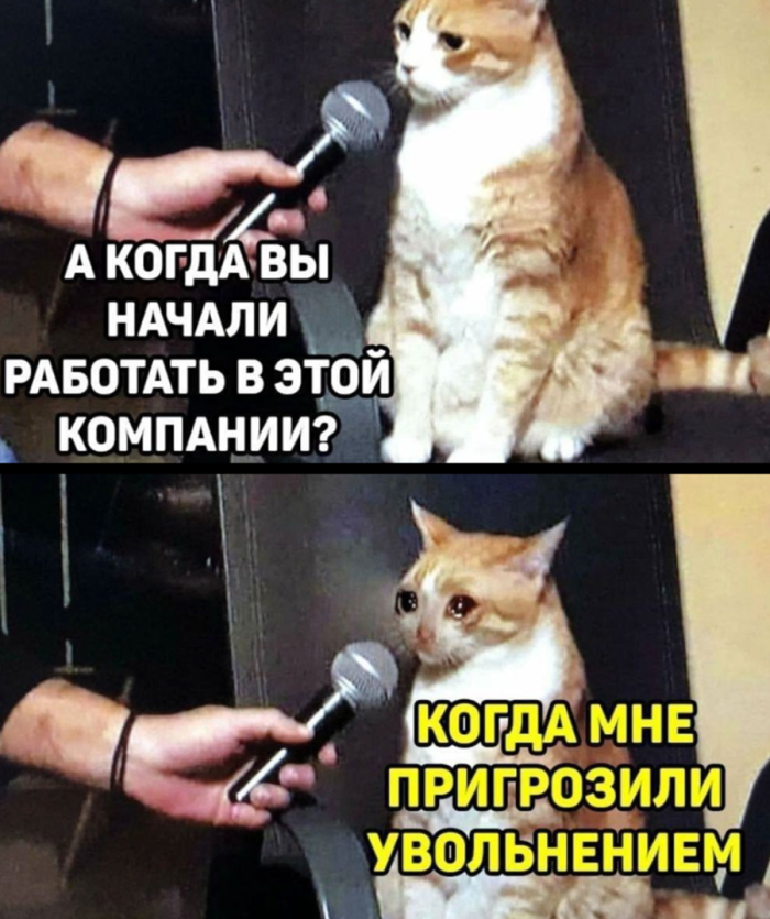 Новые мемы под выходные