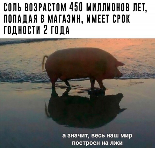 Позитив и юмор в смешных картинках и фотографиях