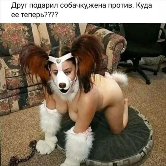 Самый чёрный юмор для взрослых