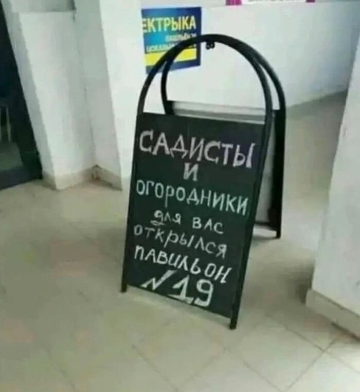 Самые позитивные и смешные картинки дня