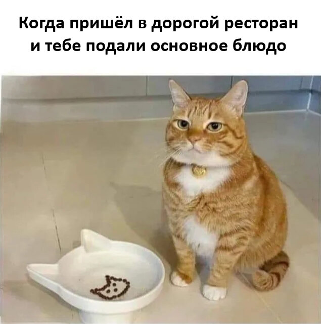 Подборка прикольных Картинок и Мемов на День