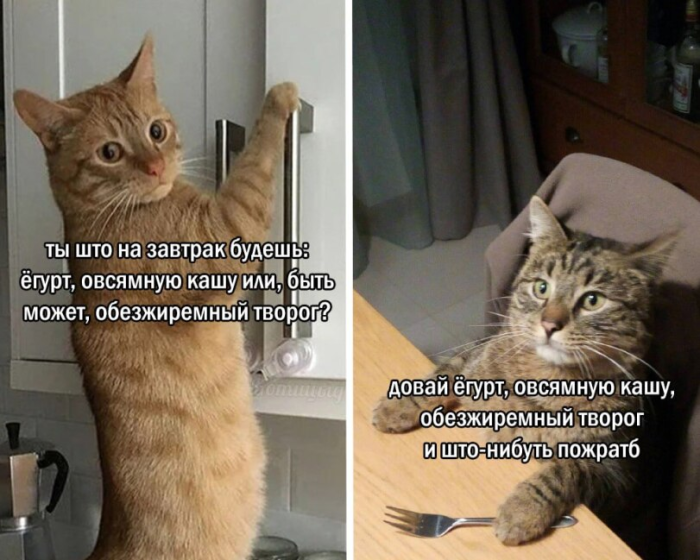 Смешные мемы и приколы с Надписями на выходные