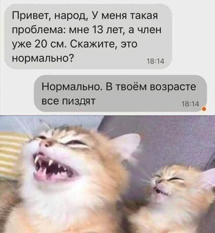 Пошлый юмор который вас точно порадует