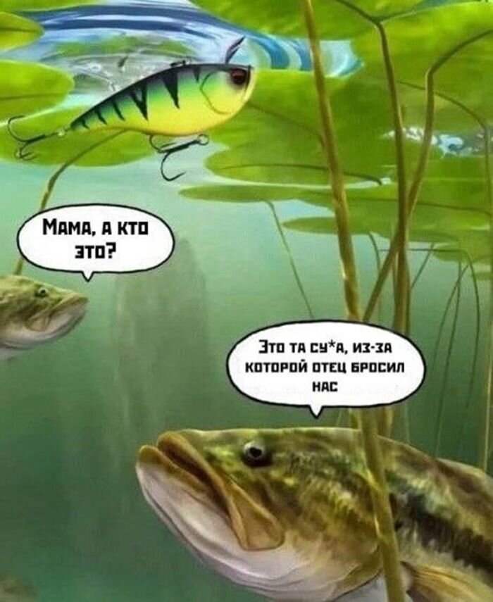 Юмор и шутки на выходной