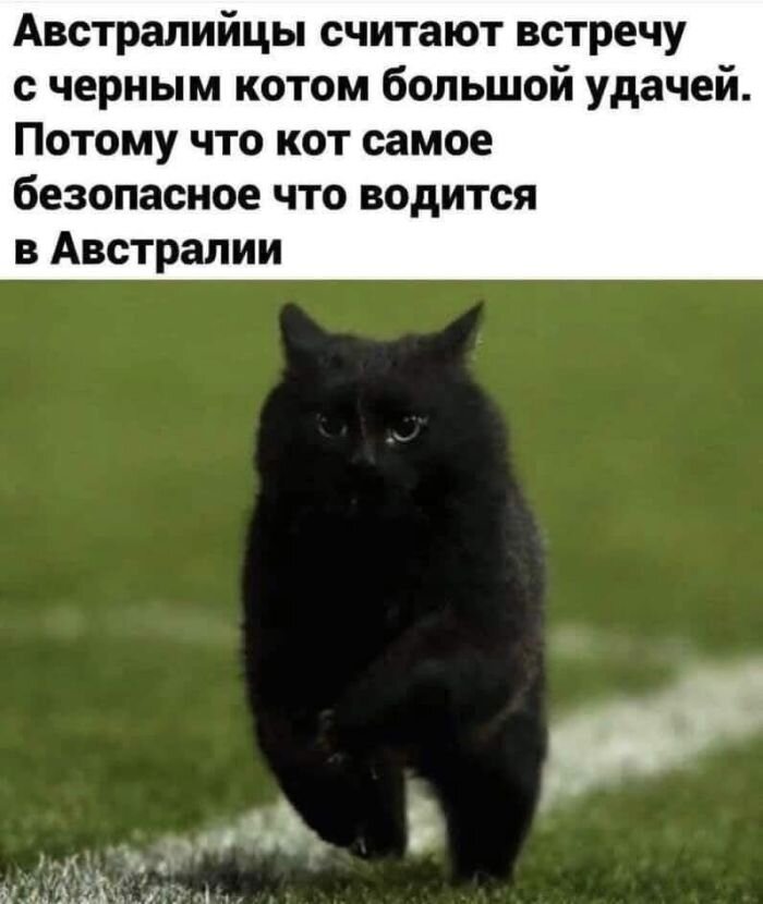 Большой сборник юмора