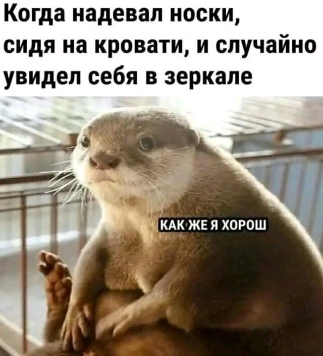 Смешные картинки с надписями в пятницу