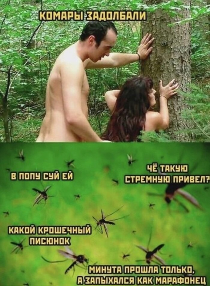 Пошлые, смешные и позитивные картинки