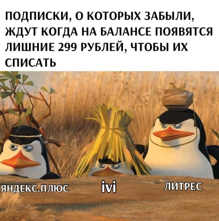 Смешные фотографии и мемы из сети