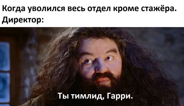 Сборник прикольных фото для хорошего настроения