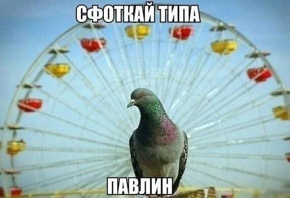 Самые смешные картинки на выходные