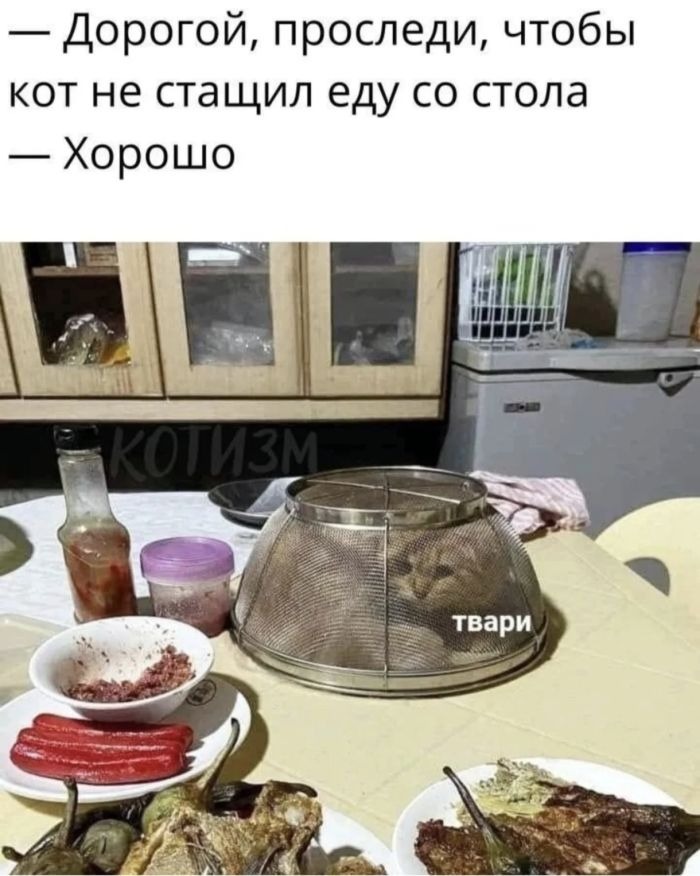 Мемы для поднятия Настроения в понедельник