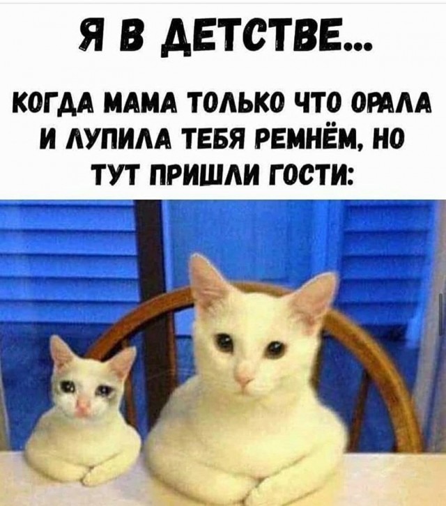 Смешные картинки и забавные фото для поднятия настроения
