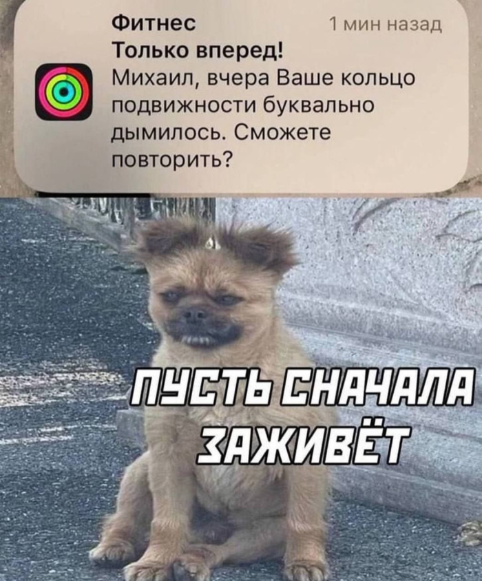 Самые смешные мемы из интернета - Приколы в картинках
