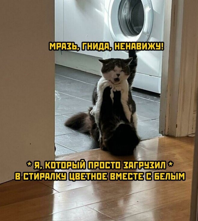 Смешные прикольные картинки и фото приколы