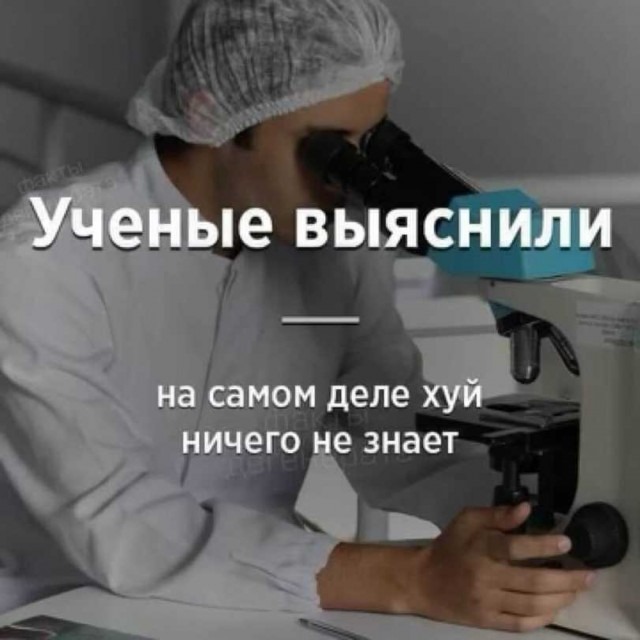 Пошлые шуточки