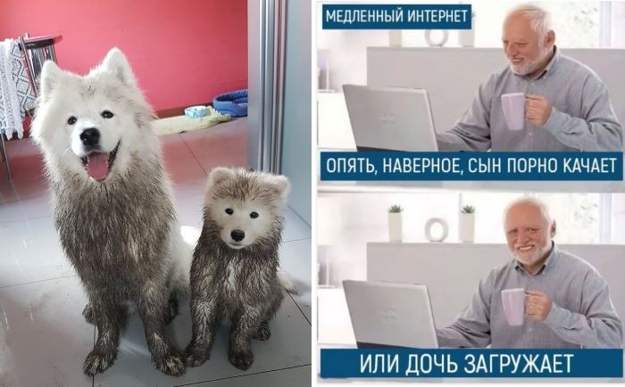 Лучшие мемы и прикольные фото