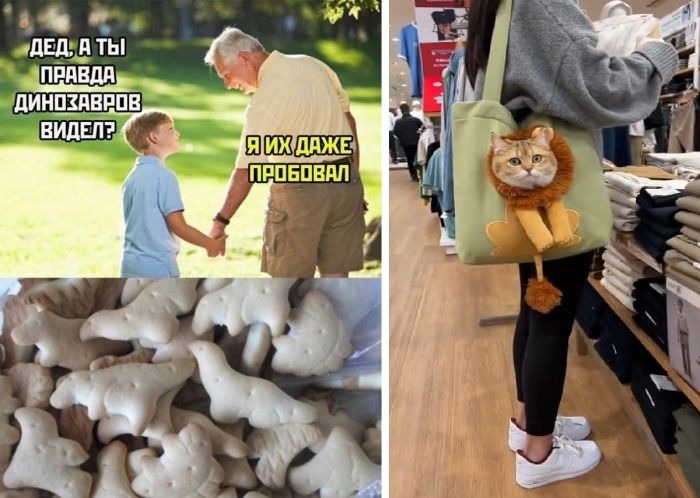 Смешные приколы на картинках