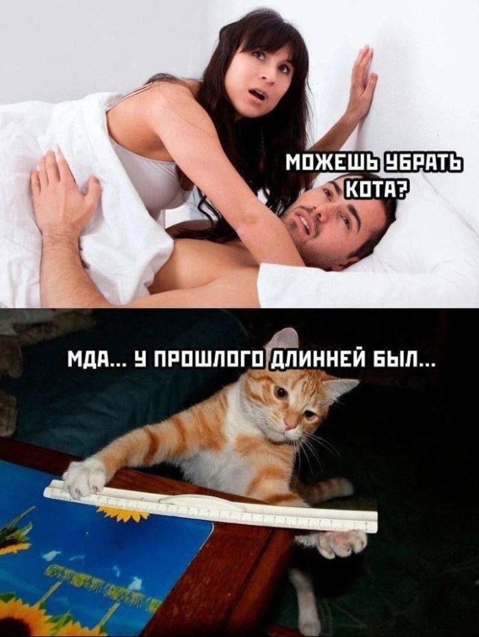 Черный юмор в смешных картинках