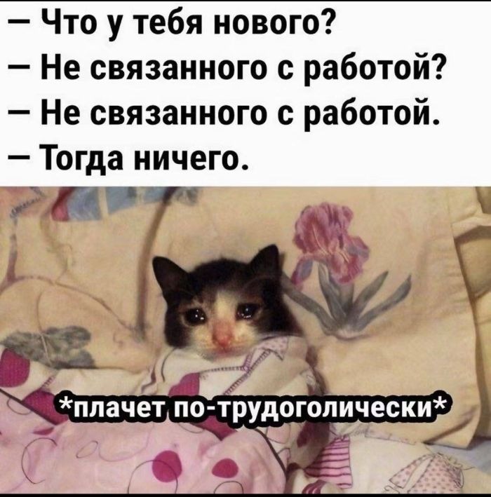 Большой сборник Мемов для настроения
