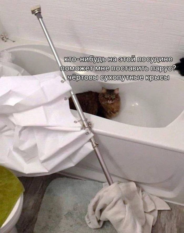 Смешных мемов Пост