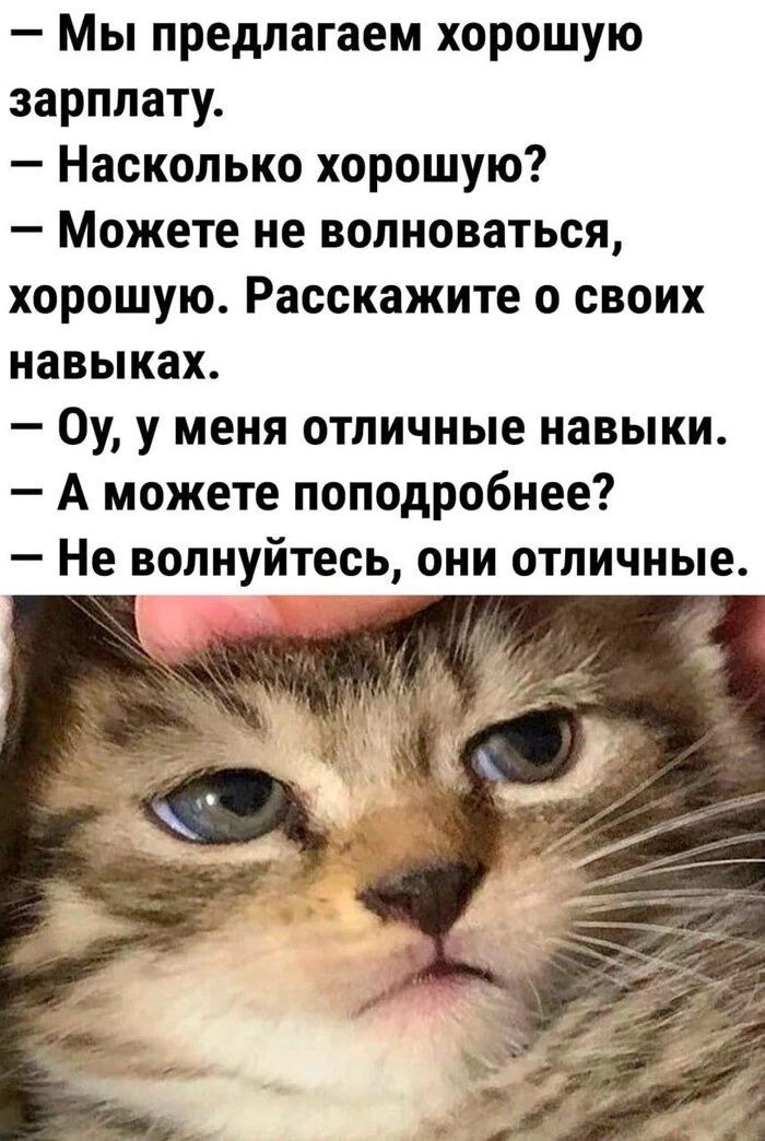 Лучшие прикольные картинки для поднятия Настроения