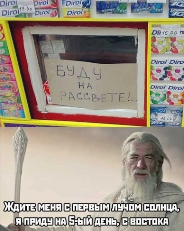 Смешные картинки – лучший способ развлечения