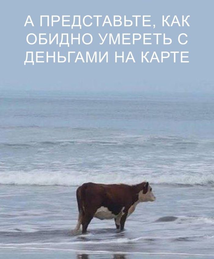 Юмор, приколы, картинки с надписями для хорошего настроения