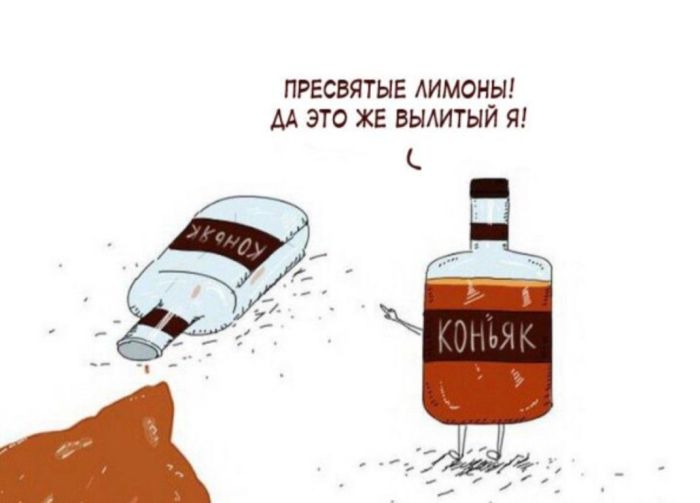 Свежие прикольные фото и картинки